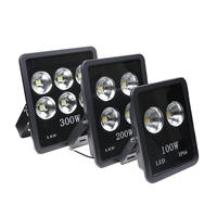 Lampu Sorot Stadion LED 100W 150W 200W 300W IP65 Aluminium Die-cast untuk Penerangan Lapangan Olahraga Luar Ruangan 100lm/w Lampu Tiang Tinggi