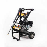 Haute qualité Commercial 6.5hp 170bar Machines de pompage d'eau Portable 220v pistolet de lavage de voiture électrique haute pression