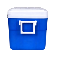 Ensemble de glacières carrées isothermes modernes orange et bleues de qualité alimentaire, capacités 5L/13L/26L/45L, pour le camping et le stockage extérieur Itoo