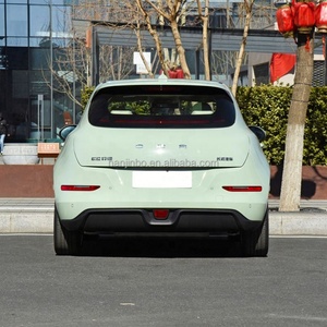 Voiture électrique pure neuve 2024 GWM ORA Good Cat EV à 4 roues à vendre - Product Image 4