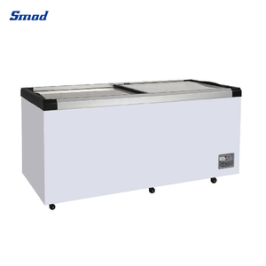 Congélateurs vitrine commerciaux à porte coulissante pour DDH-2000DX - Product Image 5