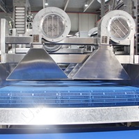 Machine de séchage et de déshydratation automatique LWT à air pulsé pour aliments emballés, fruits et légumes, avec couteau à air froid