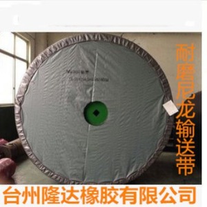 Bande transporteuse en nylon à 2 couches résistante à la chaleur pour usine de fabrication - Product Image 3