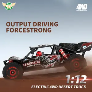 RC Buggy 75 km/h Metall gehäuse Teile Funks teuerung spielzeug 4WD Drift RC Auto für Erwachsene