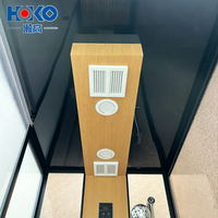 Cabine de douche vapeur HOKO de luxe moderne en alliage d'aluminium noir avec porte en verre pour cabines de douche