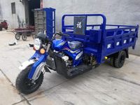 Tricycle Motorisé à Moteur Refroidi par Eau 250cc, Charge Lourde, avec Caisse 5 Roues