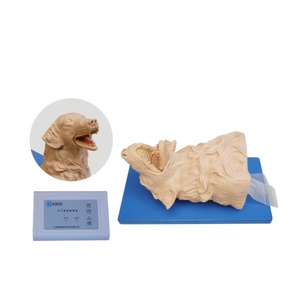 หุ่นจำลองฝึกอบรมการใส่ท่อช่วยหายใจสุนัขด้วยไฟฟ้าสำหรับการปฐมพยาบาลทางวิทยาศาสตร์การแพทย์ - Product Image 1