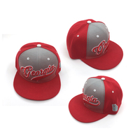 Gaya Baru Kustom 6 Panel Snapback Bordir 3D Snap Back Topi Hip Hop Snapback dan Topi Snapback