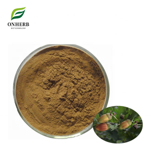 Approvisionnement d'usine 100% <span class=keywords><strong>extrait</strong></span> <span class=keywords><strong>de</strong></span> racine <span class=keywords><strong>de</strong></span> Quercus Robur organique naturel 99% poudre d'<span class=keywords><strong>extrait</strong></span> d'écorce <span class=keywords><strong>de</strong></span> chêne - Product Image 1