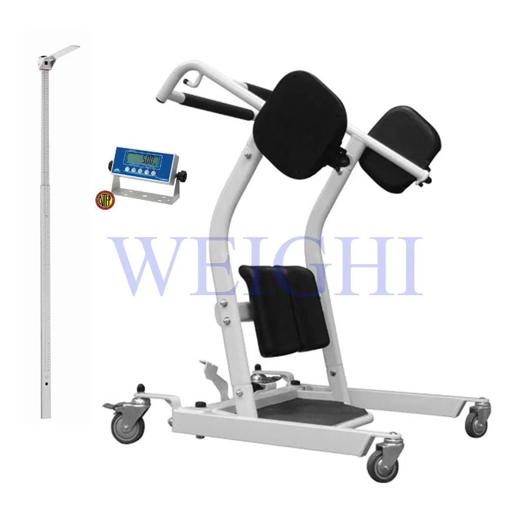 Hospital Transfer Walking Mobility Assist Stand Aid For Disabled