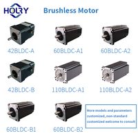 Motor BLDC 48V 750W Hemat Biaya, Torsi Tinggi, Output Kuat, Motor Tanpa Sikat, Banyak Digunakan untuk Berbagai Kendaraan Listrik