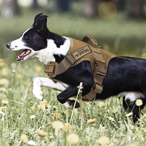 เสื้อกั๊กสุนัข 1000D แบบ Molle สำหรับฝึกสุนัข ล่าสัตว์ ปลดเร็ว ใช้งานกลางแจ้ง เสื้อกั๊กสุนัขแบบยุทธวิธี ชุดสายรัดสุนัขไนลอน - Product Image 6