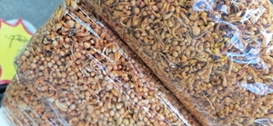 Nguyên liệu tự nhiên sạch lỗi giết chết Đông Trùng Hạ Thảo Khô lỗi giết Đông Trùng Hạ Thảo nấm để bán - Product Image 5