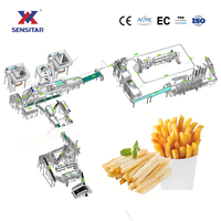 500kg/uur Hoge Efficiëntie Productielijn voor Diepvriesfrieten & -chips met Was-, Schil-, Blancher-, Friteer- en Vriesysteem