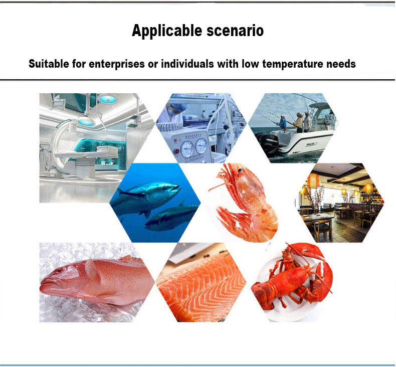 -60C degree low temperature freezer 480L chest deep freezer for biological samples used in university and institutes