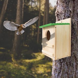Büyük el yapımı ahşap dairesel açılış Screech kutusu papağan baykuş ahşap kuş evi - Product Image 6