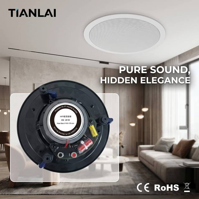 Tianlai 503 Surround Sound Stereo Hifi Loudspeaker Bass Speaker Home Theatre