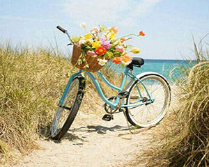 Voor Chenistory 997719 Custom Linnen Foto Ontwerp Fiets Bloemen Canvas Schilderij Kit Diy Verf Op Nummer - Product Image 1