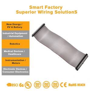 定制 Jst Molex 12 针铜质电子线束扁平带状电缆组件，适用于工业电机控制应用 - Product Image 3