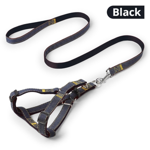 Hochwertige benutzer definierte feste Muster Stoff Hunde leine mit verstellbaren No Pull Feature Welpen geschirr und Walk Easy Hunde halsband - Product Image 4