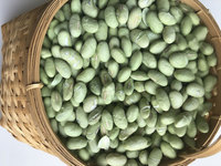 Premium Freeze Dried Edamame Instant Food for Food Service Bulk Wholesale