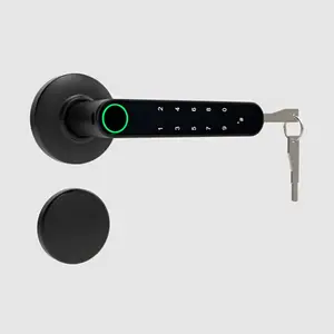 Electronic Smart Lock Dual Mode USB Rechargeable Fingerprint Door Lock Security Handle Lock for Apartment