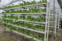 Système hydroponique A Frame NFT Channel Croissance de plantes hydroponiques verticales personnalisées