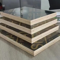 Oferta Especial: Contrachapado Fenólico de Álamo E1 de 4x8 pies con Película Negra para Construcción de Hoteles, Encofrados de 12mm y 18mm
