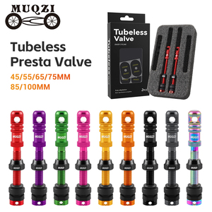 <span class=keywords><strong>Valve</strong></span> de <span class=keywords><strong>pneu</strong></span> <span class=keywords><strong>tubeless</strong></span> en alliage d'aluminium MUQZI 45/55/65/75/85/100 mm <span class=keywords><strong>Valve</strong></span> Presta pour vélo de route <span class=keywords><strong>VTT</strong></span> - Product Image 1