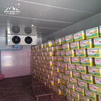 Ruang Pendingin Walk-in untuk Rumah Pengemasan Buah dan Fasilitas Ekspor Produk Segar