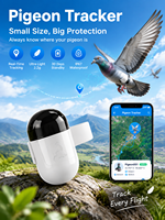 Localisateur de pigeons en plastique ultra-léger avec Bluetooth pour pigeons de course, compatible avec Android et iOS