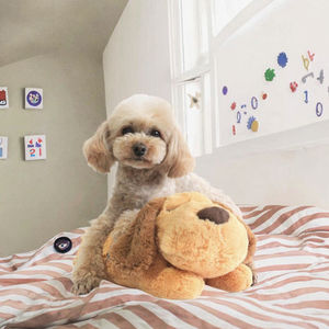 Eco-Friendly Anti-Anxiety Relief Dog Toy Heartbeat Accompany Plush <strong>Puppy</strong> for Pet Training Calming <strong>Snuggle</strong> Sleep Aid Mesh Lining - Product Image 3