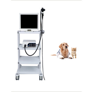 Endoscopio Veterinario a Basso Costo, Telecamera per Endoscopia Gastrointestinale, Prezzo Macchina per Colonscopia Canina - Product Image 1
