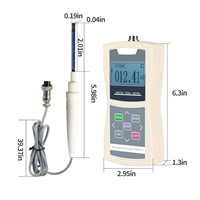 Testeur de champ magnétique automatique 200mT/2500mT Gaussmètre Tesla numérique avec sonde Hall radiale standard