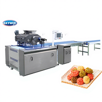 Machine à enrober les biscuits automatique Skywin 250 kg/h, machine à fabriquer des biscuits blancs