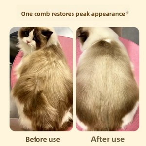 Kit de Limpieza para Mascotas 2025, Cepillo de Doble Cara con Spray para Eliminar el Pelo de Perros y Gatos - Product Image 6