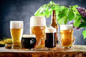Vaso de Cerveza IPA de Cristal Transparente sin Plomo de 17 oz/510 ml para Degustación de Cereales, para Bares y Pubs, Venta al por Mayor - Product Image 4