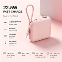 Batterie externe mini haute puissance 10000 mAh avec entrée/sortie Type-C, câble 8 broches, chargeur rapide 2-en-1 pour téléphones iOS
