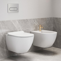 Nouveauté salle de bain sanitaire costume mural en céramique commode bidet et cuvette de toilette mur suspendu ensemble de toilette