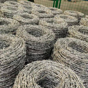 <span class=keywords><strong>Alambre</strong></span> <span class=keywords><strong>de</strong></span> Púas Galvanizado <span class=keywords><strong>de</strong></span> <span class=keywords><strong>Calibre</strong></span> 14 para el Mercado <span class=keywords><strong>de</strong></span> Argelia, Rollo <span class=keywords><strong>de</strong></span> 20 kg y 25 kg <span class=keywords><strong>de</strong></span> <span class=keywords><strong>Alambre</strong></span> GI para Uso Industrial y Agrícola - Product Image 2