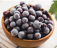 Topkwaliteit Hot Sell Vers Materiaal Iqf Bevroren Fruit Bevroren Zwarte Bes