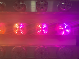 48mm 6 trong 1 hiệu ứng mới aidisen Carnival RGB vui chơi giải trí đi xe ánh sáng Ferris Bánh xe fairground Tắc Kè Hoa Cabochon ánh sáng - Product Image 6