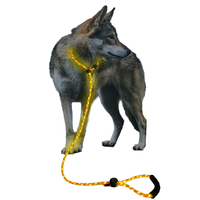 Nouveau LED lumineux chien marche Traction ceinture USB charge pratique Polyester P fournitures pour animaux de compagnie solide motif rembourré caractéristique rubans