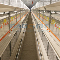 Cages d'élevage automatiques pour élever des poules
