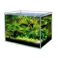 Les fabricants de haute qualité vendent des aquariums écologiques en verre