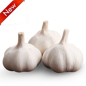 China <span class=keywords><strong>ajo</strong></span> blanco <span class=keywords><strong>de</strong></span> frío <span class=keywords><strong>de</strong></span> almacenamiento <span class=keywords><strong>de</strong></span> bajo precio - Product Image 2