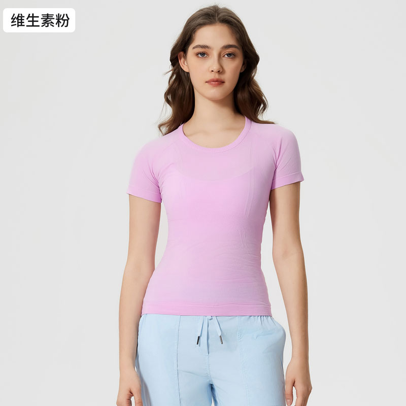 Round Neck Seamless Slim Fit Shirts Short Sleeve Plain Quick Dry Gym Athletic Tees for Women