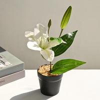 Plante artificielle en pot de lys, fausse fleur de lys, bonsaï avec pot noir pour la décoration de la maison, du bureau, des tables de mariage et de fête