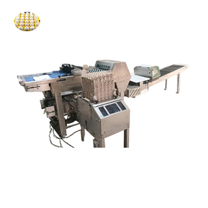 Egg Washing Machine 15000 Eggs Per Hour Egg Grading Machine Egg Grading and Packing Line - Product Image 5