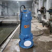 Pompe à eaux usées submersible WQ Automotive Industry, haute pression, moteur triphasé OEM, garantie 1 an